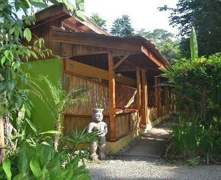 Morpheus Exotica Lodge Puerto Viejo de Talamanca Kültér fotó