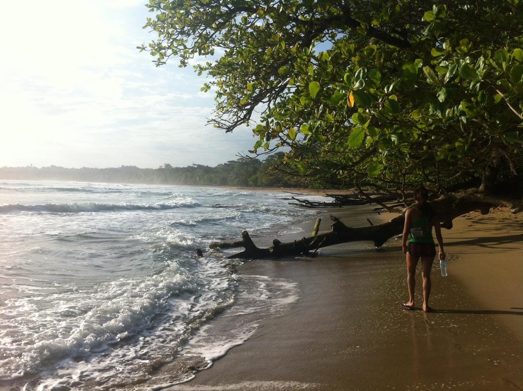 Morpheus Exotica Lodge Puerto Viejo de Talamanca Kültér fotó