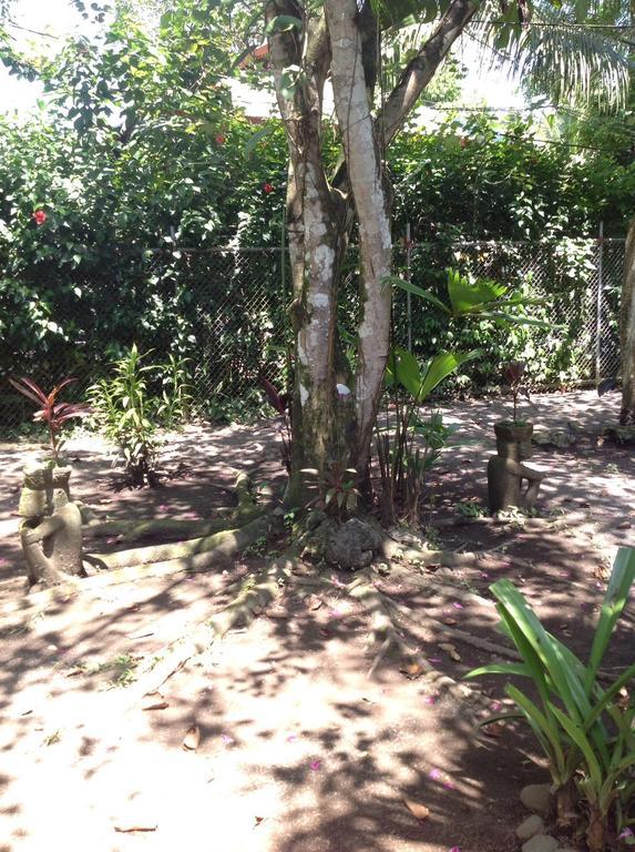 Morpheus Exotica Lodge Puerto Viejo de Talamanca Kültér fotó