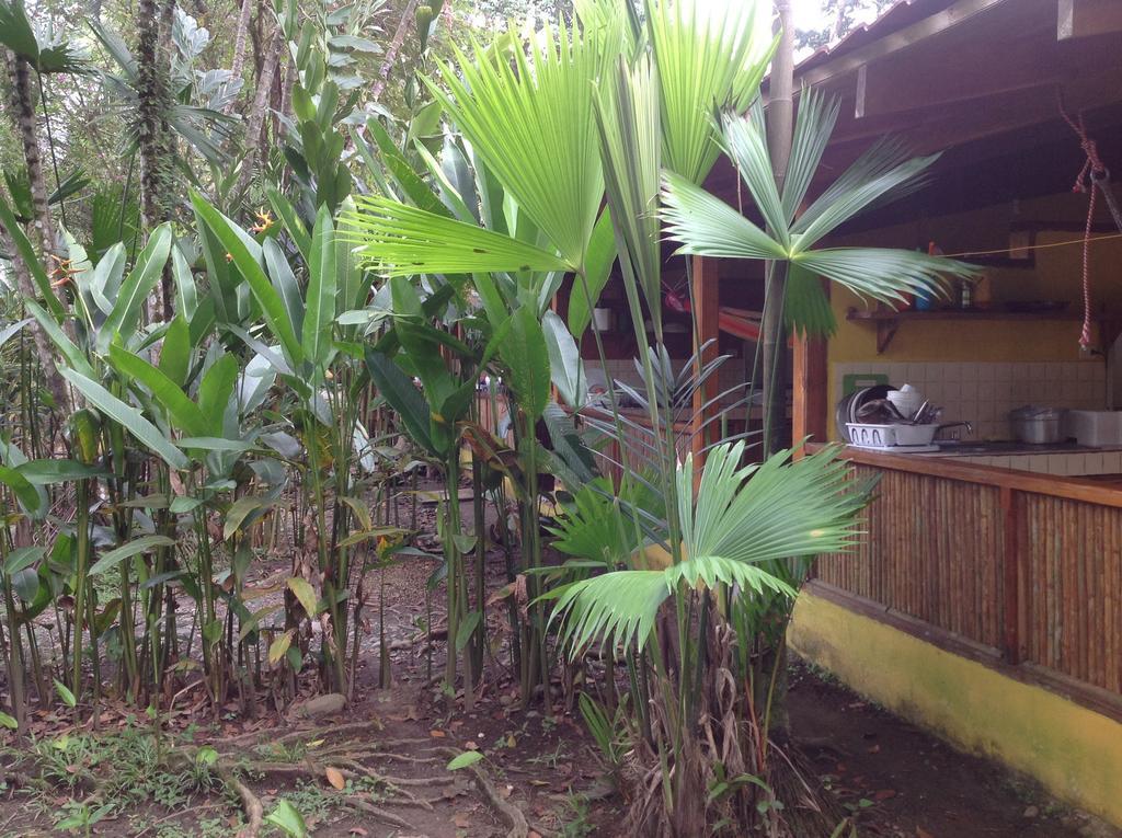 Morpheus Exotica Lodge Puerto Viejo de Talamanca Szoba fotó