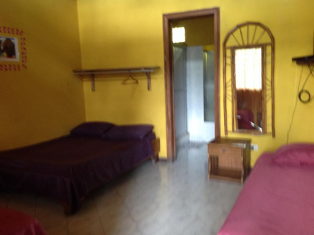Morpheus Exotica Lodge Puerto Viejo de Talamanca Szoba fotó