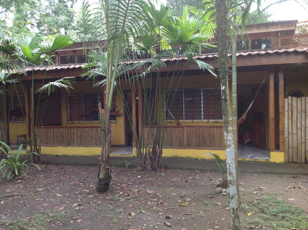 Morpheus Exotica Lodge Puerto Viejo de Talamanca Kültér fotó