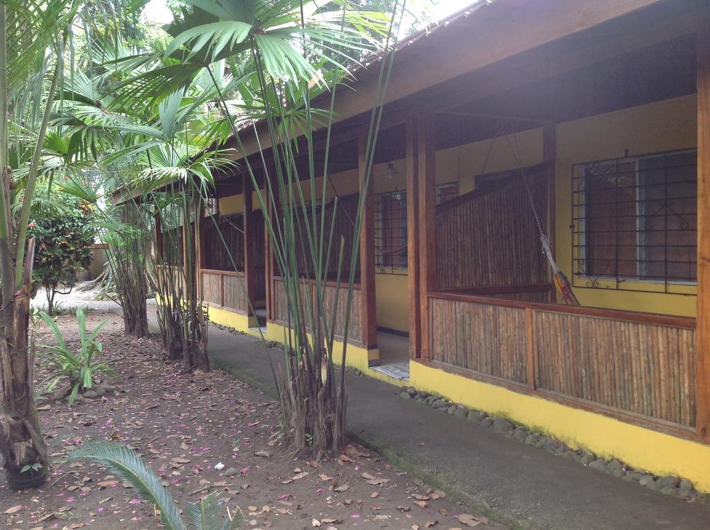 Morpheus Exotica Lodge Puerto Viejo de Talamanca Kültér fotó