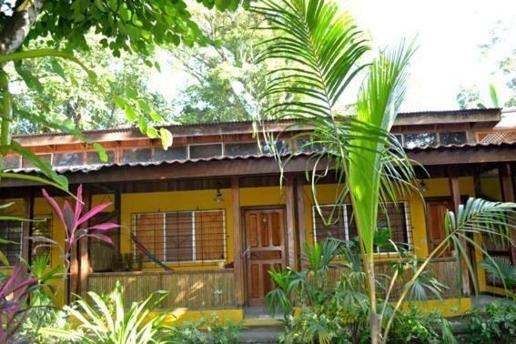 Morpheus Exotica Lodge Puerto Viejo de Talamanca Kültér fotó