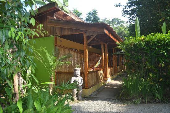 Morpheus Exotica Lodge Puerto Viejo de Talamanca Kültér fotó