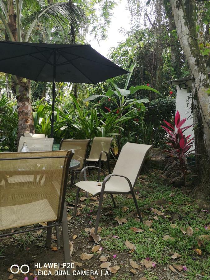 Morpheus Exotica Lodge Puerto Viejo de Talamanca Kültér fotó